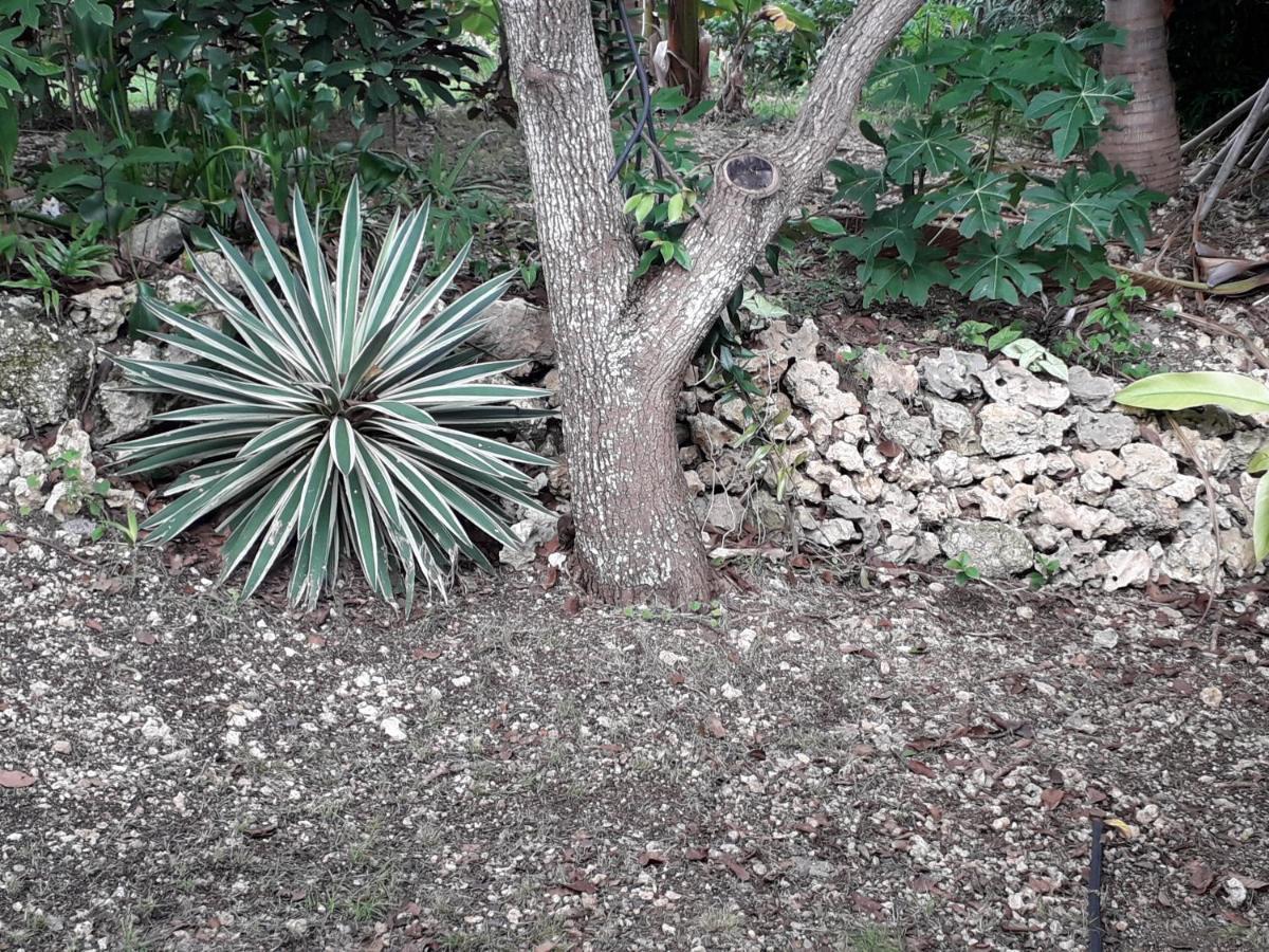 Ti Case Gwada Location Sainte-Anne  Zewnętrze zdjęcie